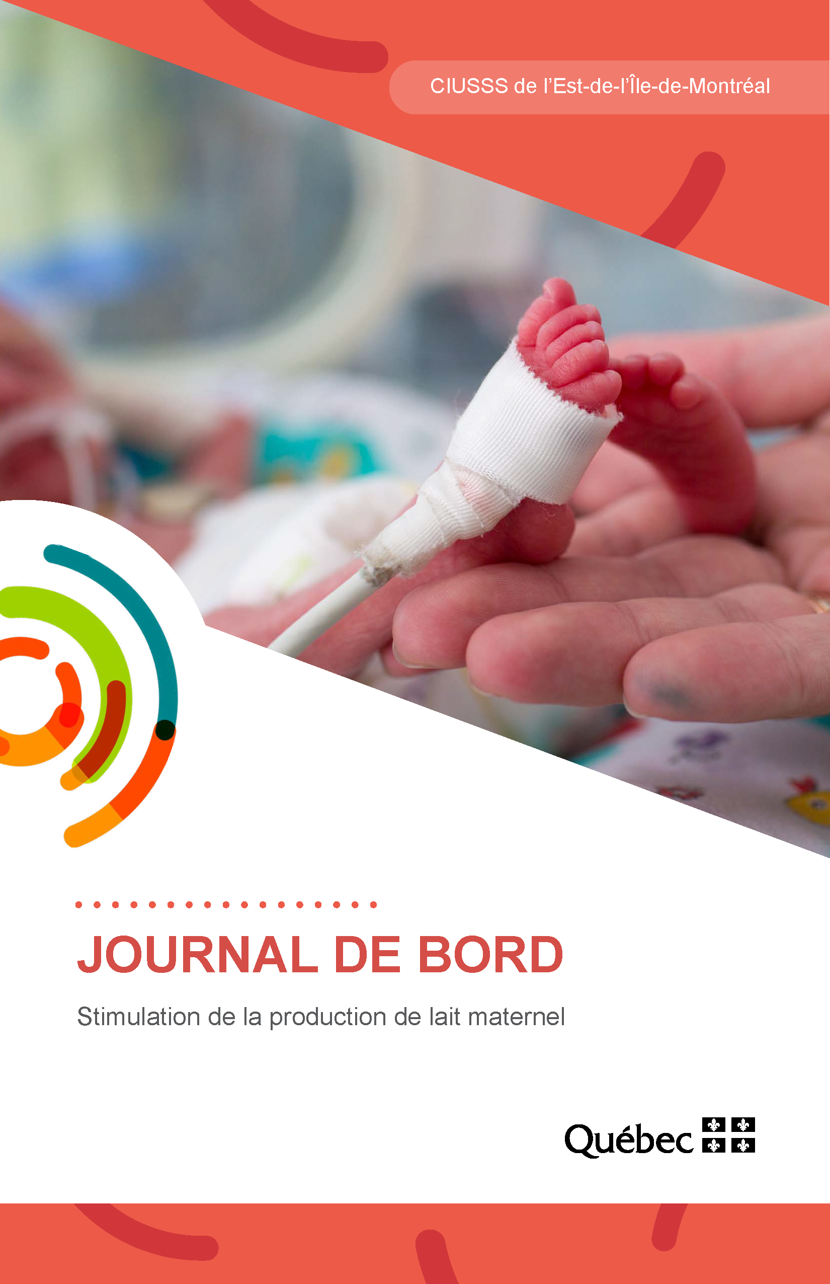 journal-de-bord-stimulation--cpsfe062(2020)-vp